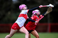 Derry Minors v Tyrone Seniors (20 of 143)