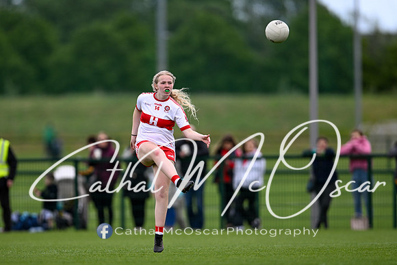 Derry v Offaly (99 of 260)