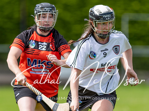 Castledawson v Lavey II (129 of 130)