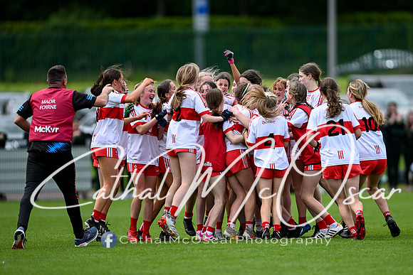 Derry v Offaly (160 of 260)