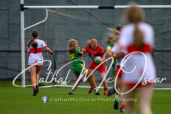 Derry v Offaly (40 of 260)