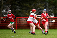 Derry Minors v Tyrone Seniors (15 of 143)