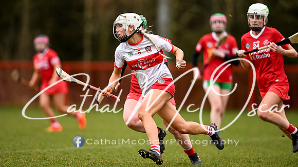 Derry Minors v Tyrone Seniors (142 of 143)