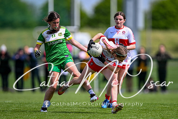 Derry v Offaly (9 of 260)