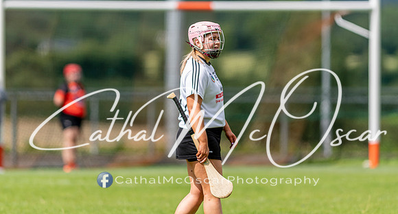 Castledawson v Lavey II (27 of 130)