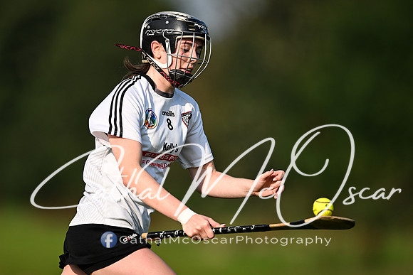 Castledawson v Dungiven-37
