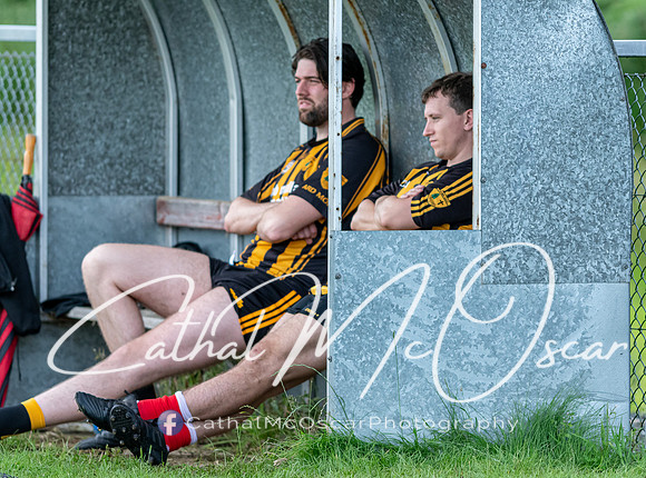 Ogra Colmcille v Ardmore (89 of 144)
