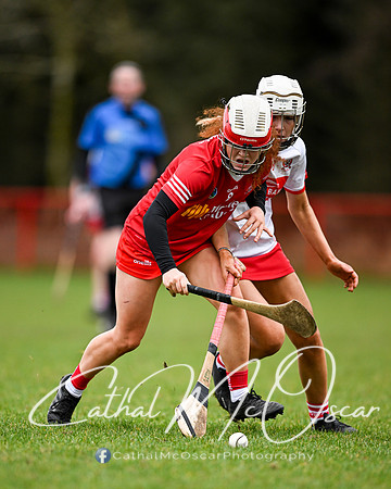 Derry Minors v Tyrone Seniors (43 of 143)