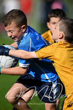 Moy U7.5 Tournament (41 of 427)