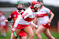 Derry Minors v Tyrone Seniors (10 of 143)
