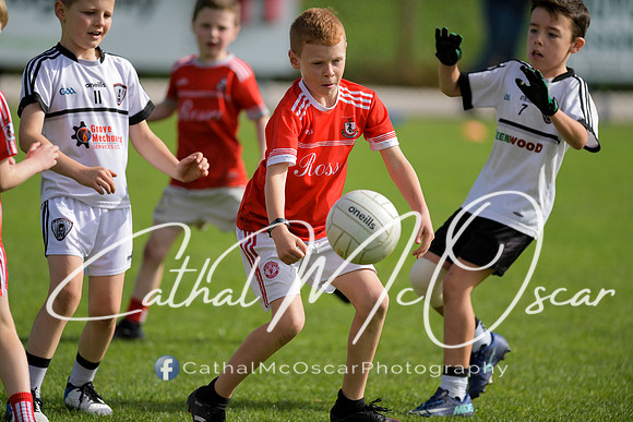 Castledawson U9 Tournament (53 of 250)