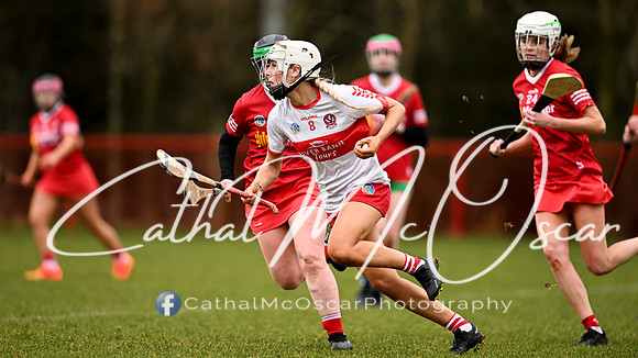Derry Minors v Tyrone Seniors (141 of 143)