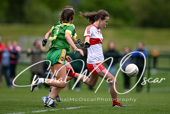 Derry v Offaly (119 of 260)
