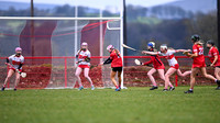 Derry Minors v Tyrone Seniors (18 of 143)