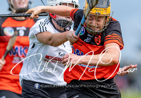 Castledawson v Lavey II (115 of 130)