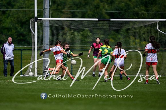 Derry v Offaly (35 of 260)