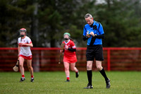 Derry Minors v Tyrone Seniors (19 of 143)