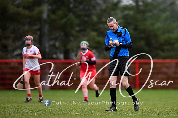 Derry Minors v Tyrone Seniors (19 of 143)