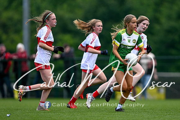 Derry v Offaly (59 of 260)