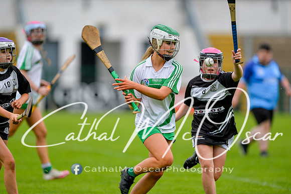 Loup v Dungiven (41 of 183)