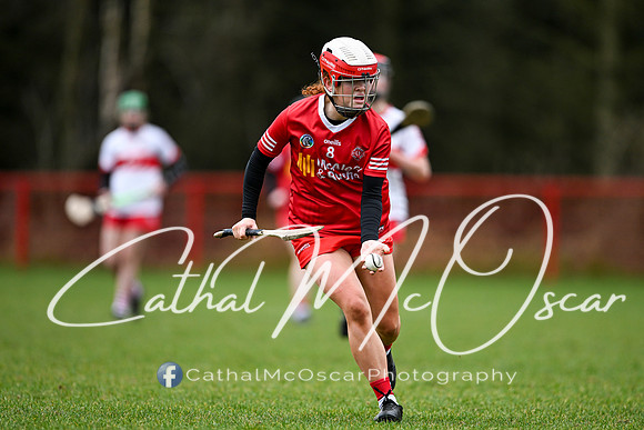 Derry Minors v Tyrone Seniors (89 of 143)