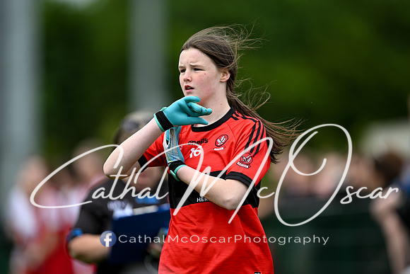 Derry v Offaly (146 of 260)