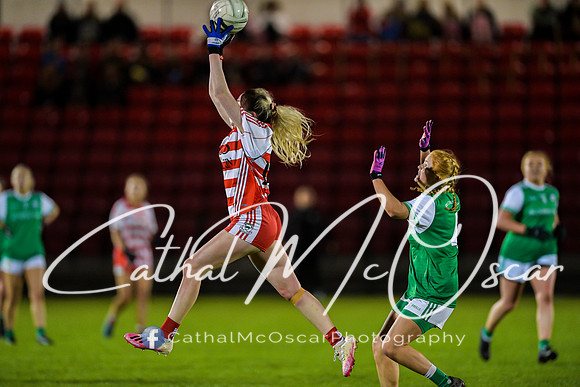 Ballerin v Craigbane (111 of 201)