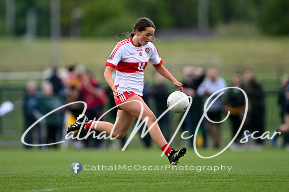 Derry v Offaly (88 of 260)