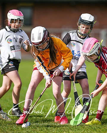 Castledawson v Banagher (48 of 52)