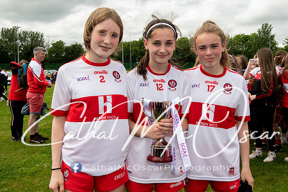 Derry v Offaly (242 of 260)