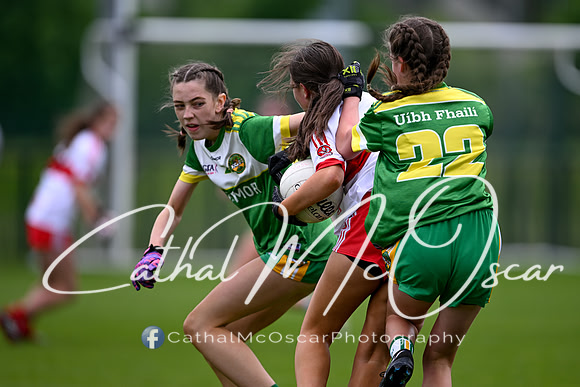 Derry v Offaly (134 of 260)