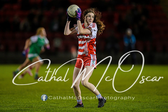Ballerin v Craigbane (134 of 201)