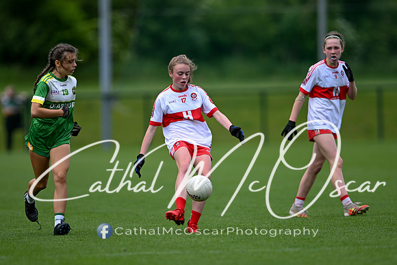 Derry v Offaly (120 of 260)