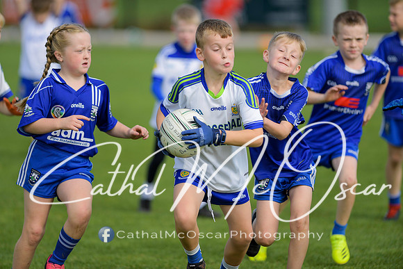 Castledawson U9 Tournament (36 of 250)