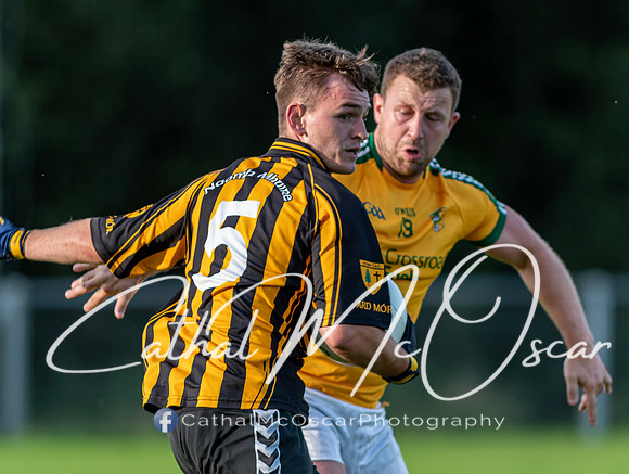 Ogra Colmcille v Ardmore (101 of 144)