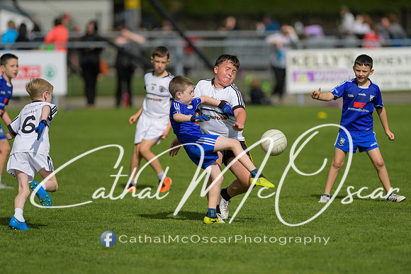 Castledawson U9 Tournament (76 of 250)