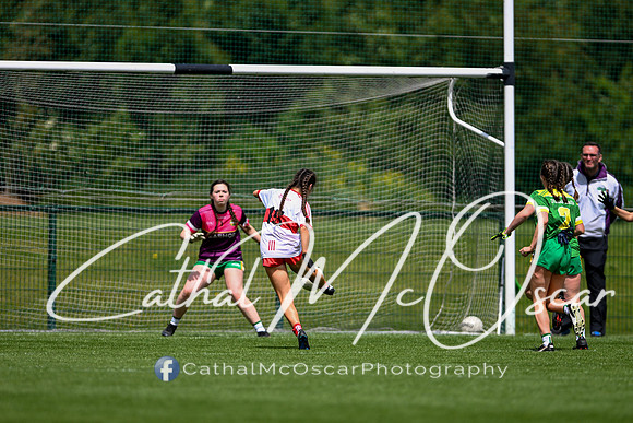 Derry v Offaly (34 of 260)