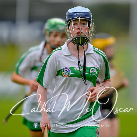 Loup v Dungiven (44 of 183)
