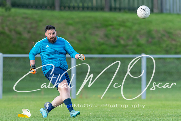 Ogra Colmcille v Ardmore (114 of 144)