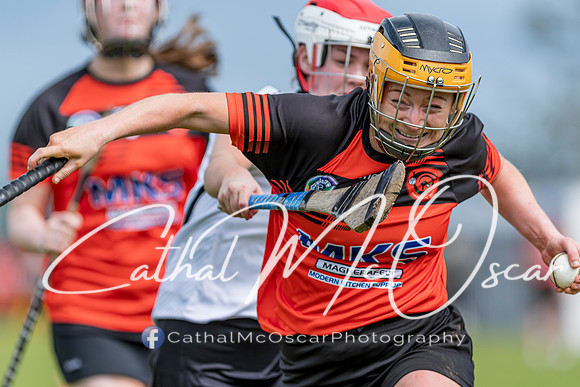 Castledawson v Lavey II (117 of 130)
