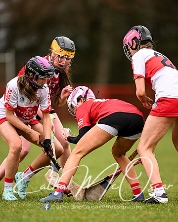 Derry Minors v Tyrone Seniors (131 of 143)