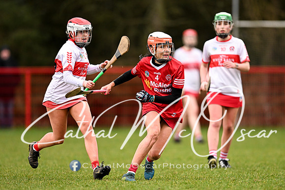 Derry Minors v Tyrone Seniors (132 of 143)