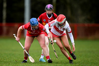 Derry Minors v Tyrone Seniors (3 of 143)