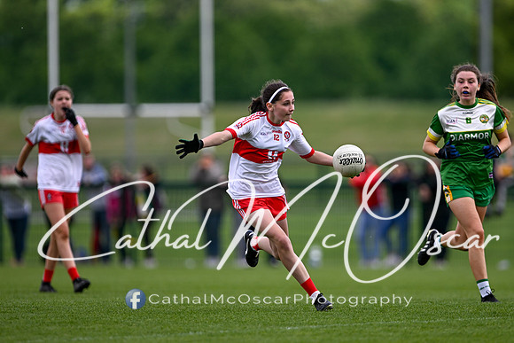 Derry v Offaly (82 of 260)