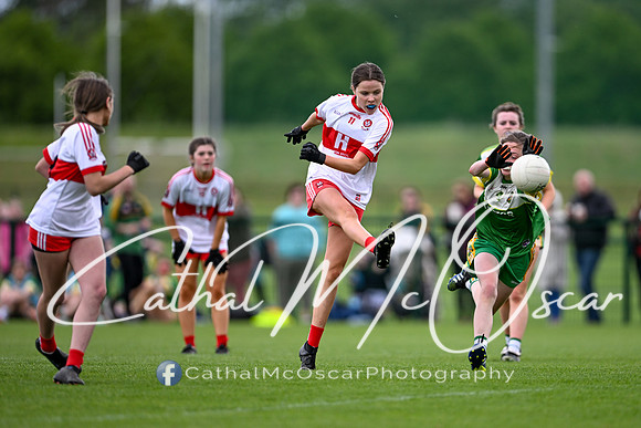 Derry v Offaly (91 of 260)