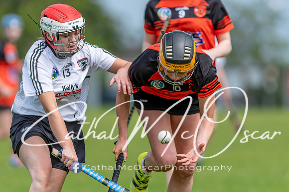 Castledawson v Lavey II (112 of 130)