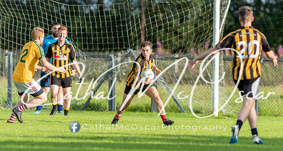 Ogra Colmcille v Ardmore (64 of 144)