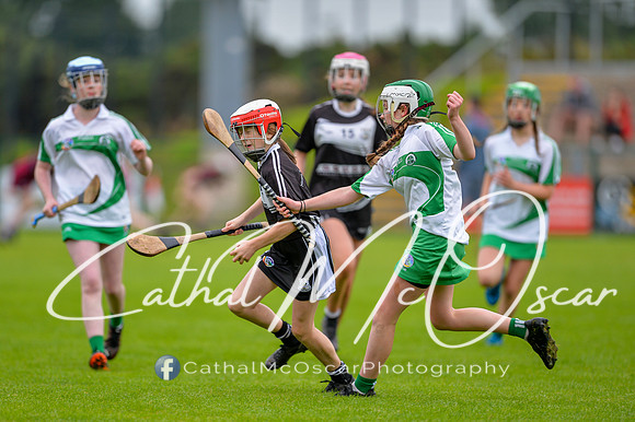 Loup v Dungiven (97 of 183)