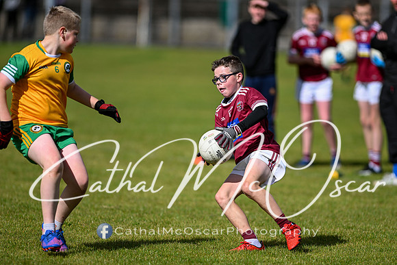 U11 Desertmartin Tournament (78 of 87)
